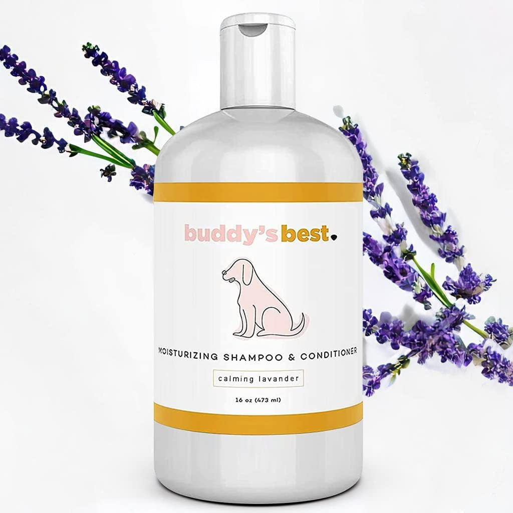 Dog Shampoo for Smelly Dogs - Skin-Friendly, Oatmeal Dog Shampoo and Conditioner for Dry and Sensitive Skin - Moisturizing Puppy Wash Shampoo, Calming Lavender Scent, 16Oz