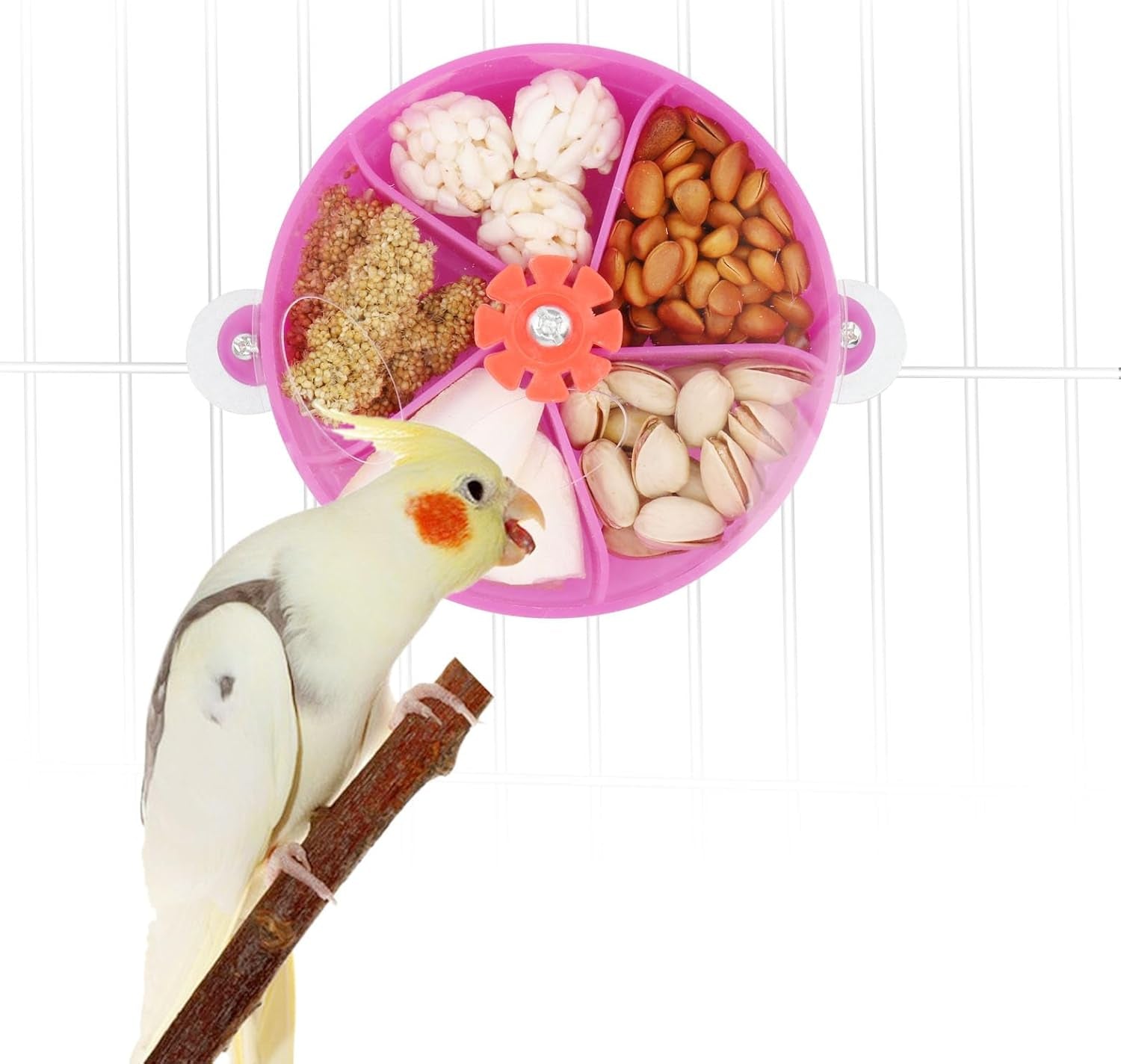 Bird Creative Foraging System Wheel Seed Food Ball Rotate Training Toy for Small and Medium Parrots Parakeet Cockatiel Conure